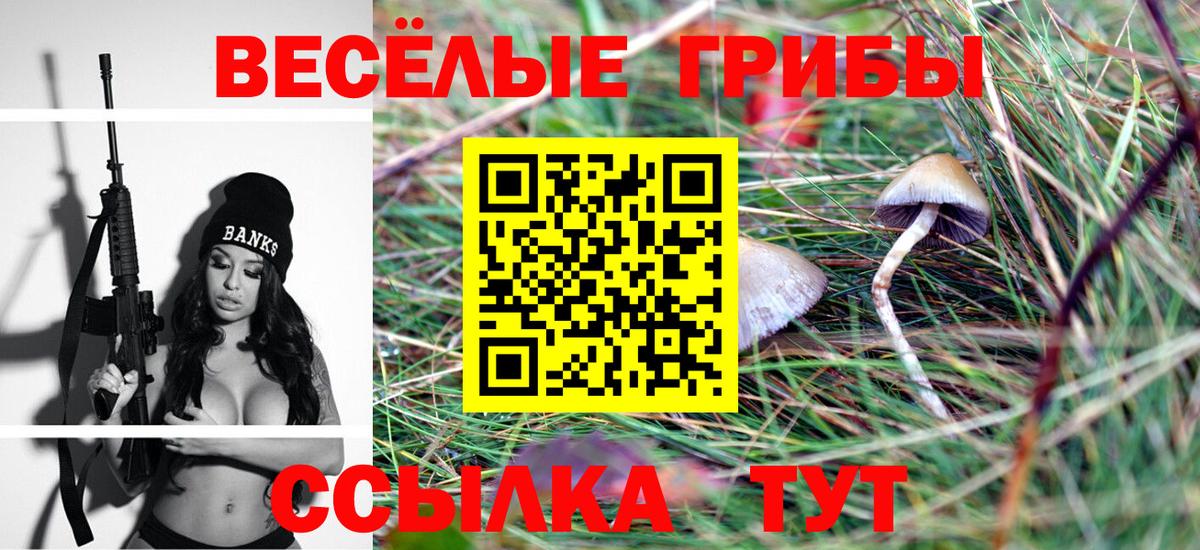 Галлюциногенные грибы Cubensis Полысаево