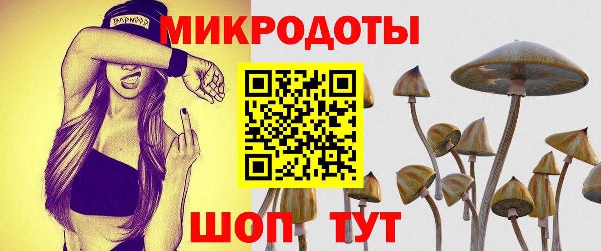 купить наркотики цена  Псилоцибиновые грибы Psilocybine cubensis  Вход с VPN  Полысаево 