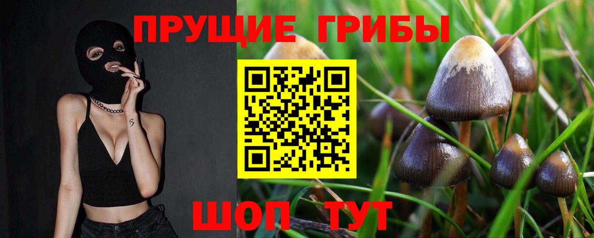 Марихуана Полысаево